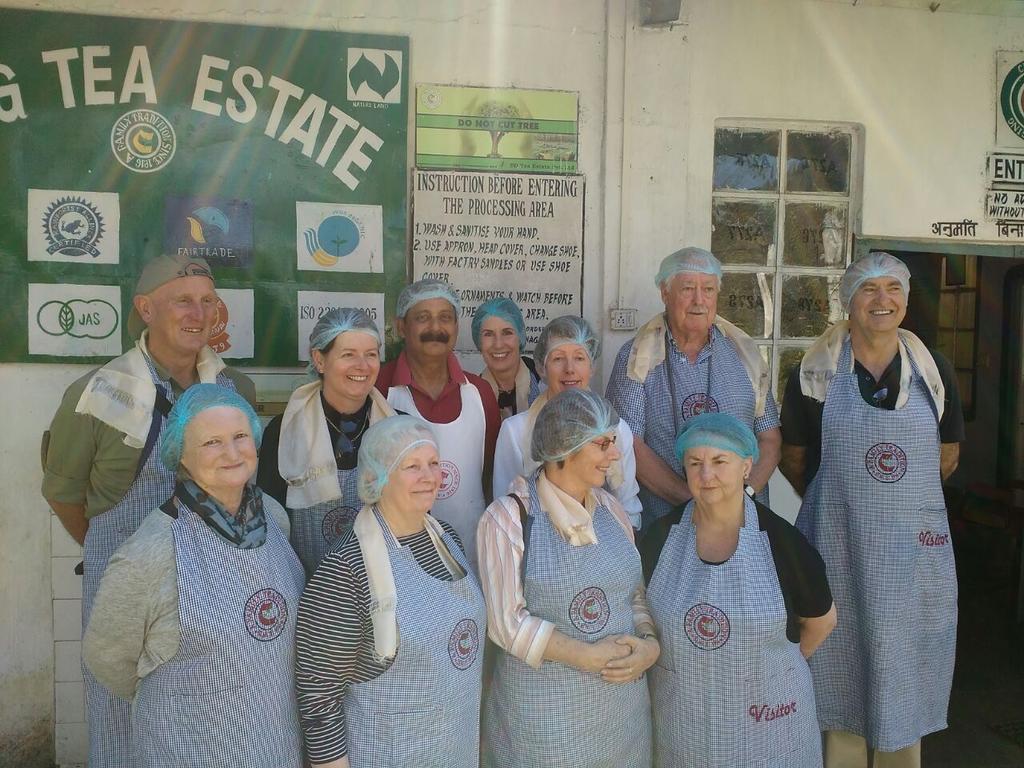 Ging Tea House Konuk evi Darjeeling  Dış mekan fotoğraf