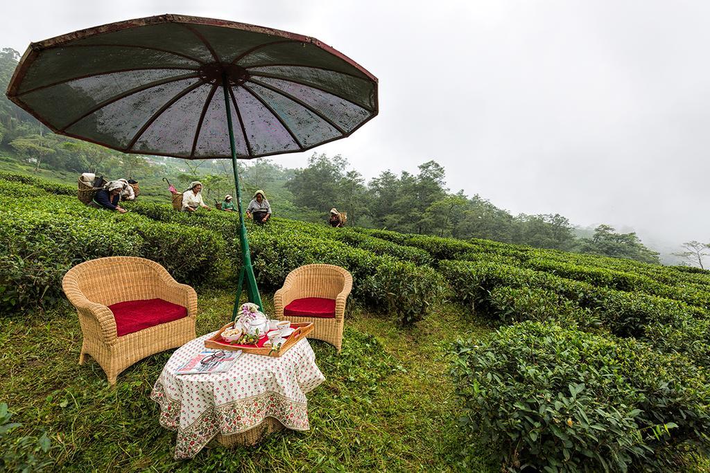 Ging Tea House Konuk evi Darjeeling  Dış mekan fotoğraf