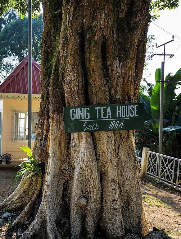 Ging Tea House Konuk evi Darjeeling  Dış mekan fotoğraf
