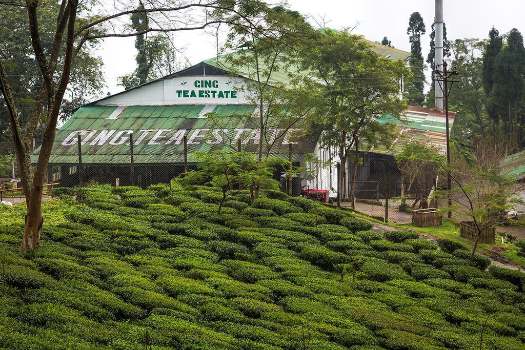 Ging Tea House Konuk evi Darjeeling  Dış mekan fotoğraf